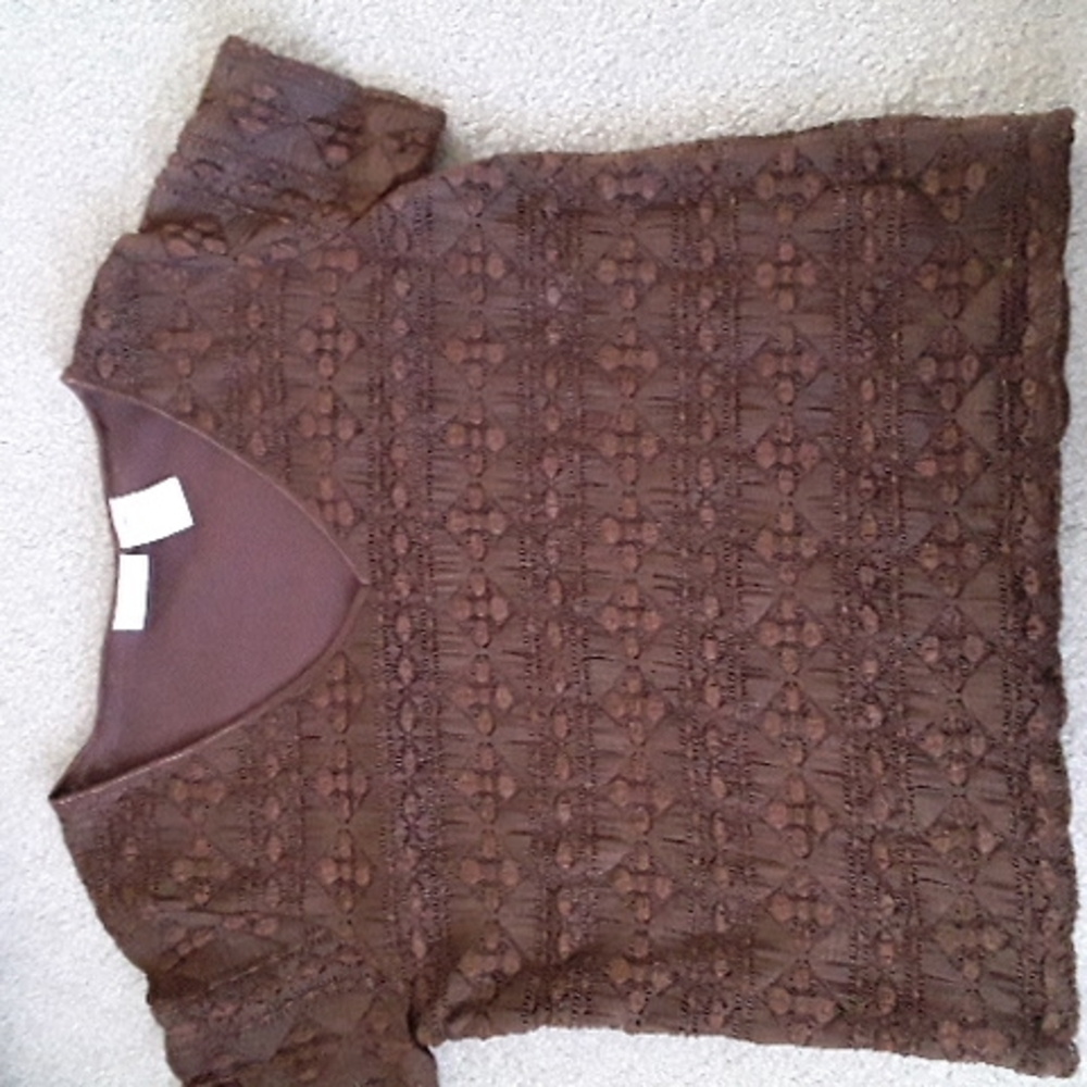 Brown shoet sleeve top